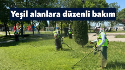 Kartepe Belediyesi Park ve Bahçeler Müdürlüğü ekipleri, ilçenin yeşil alanlarında