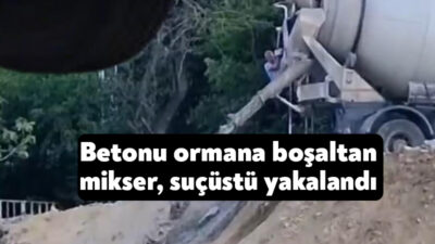 Kocaeli’nin Gölcük ilçesinde bir beton mikseri sürücüsü, ormanlık alana beton