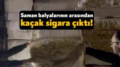 TEM otoyolunun İzmit geçişinde durdurulan bir tırın dorsesinde yapılan aramada,