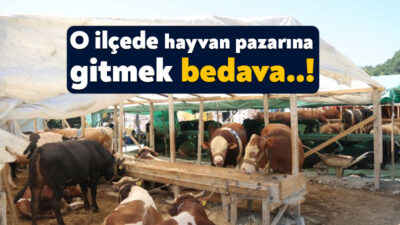 Derince Belediyesi, yaklaşan bayram öncesi Derince Kurban Pazarı’na gitmek isteyen