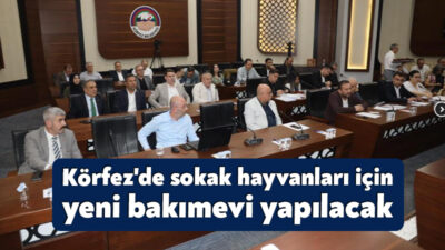Körfez Belediyesi'nin mayıs ayı meclis toplantısında, Çamlıtepe'de yapılması planlanan Sokak