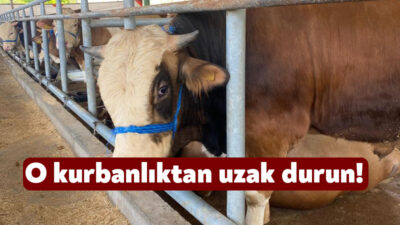 Kocaeli'de kurban pazarlarında satışlar sürerken, denetimler de aralıksız devam ediyor.