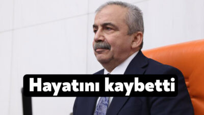 TBMM Başkanvekili ve DEM Parti İstanbul Milletvekili Sırrı Süreyya Önder