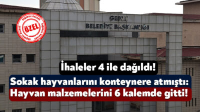2024 yılının ekim ayında sokak köpeklerini çöp konteynerine atan Gebze