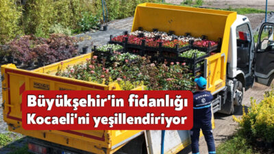 Kocaeli Büyükşehir Belediyesi’nin üretim fidanlığında yetiştirilen on binlerce fidan, kentin