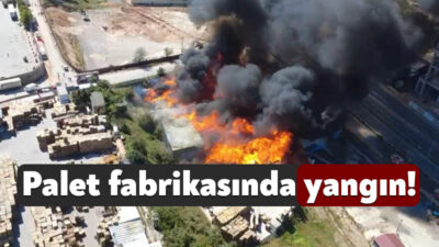 Kocaeli'nin Çayırova ilçesinde palet fabrikası alev alev yanıyor. Bölgeye
