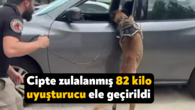 Kocaeli TEM Otoyolu'nda narkotik köpeği ile cipte yapılan aramada zulalanmış