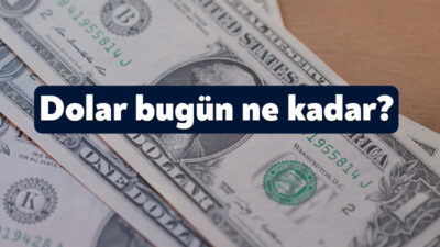 20 HAZİRAN ANLIK DÖVİZ KURU: Döviz kurlarında hareketlilik devam ediyor.