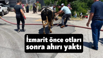 Kocaeaeli'nin Başiskele ilçesinde atılan sigara izmaritinden kaynaklı otluk alanda çıkan