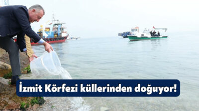 Kocaeli Büyükşehir Belediyesi’nin azimli çalışmasıyla İzmit Körfezi yeniden hayat buldu.