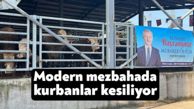 Büyükşehir Belediyesi’nin modern teknik donanıma sahip mezbahası bu Kurban Bayramı’nda