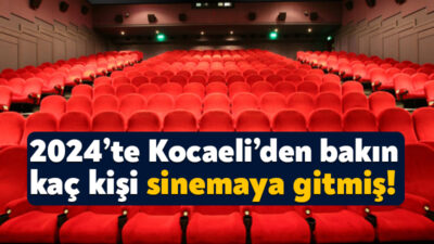 Türkiye İstatistik Kurumu 2024 yılı sinema ve gösteri sanatları istatistiklerini
