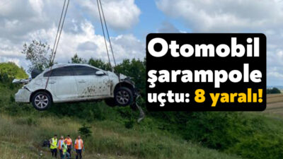 Kuzey Marmara Otoyolu'nun Kocaeli geçişinde otomobilin şarampole devrilmesi sonucu 4'ü