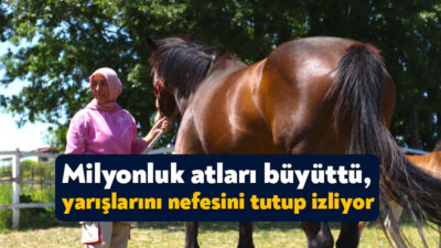 Kocaeli'de 10 yıldır seyislik yapan Hakime Kahraman, hem ev