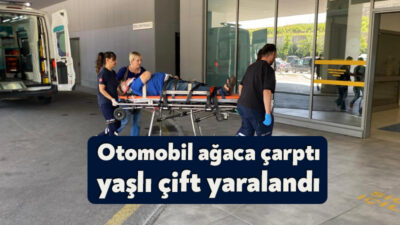 Kocaeli'nin Kandıra ilçesinde sürücüsünün kontrolünden çıkan otomobil, yol kenarındaki ağaca