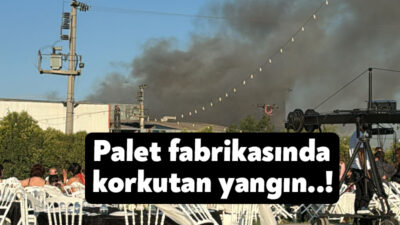 Kocaeli'nin Gebze ilçesinde yer alan bir palet fabrikasında yangın çıktı.