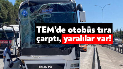 TEM Otoyolu'nun Kocaeli geçişinde 2 tır ve yolcu otobüsünün karıştığı