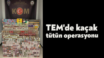 TEM Otoyolu'nun Kocaeli geçişinde durdurulan bir kargo aracında yapılan aramada,