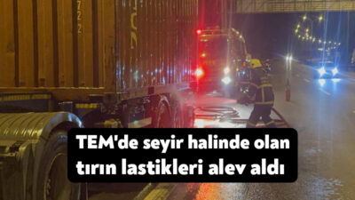 Kocaeli TEM Otoyolu'nda seyir halinde olan konteyner yüklü tırın 3