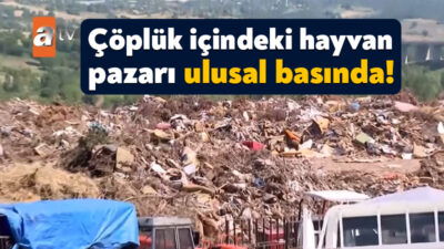 Kurban Bayramı öncesinde İzmit Belediyesi’nin çöplük yanına kurduğu hayvan pazarı