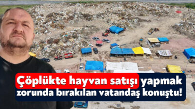 Kurban Bayramı öncesi adeta çöplük alana atılan hayvan satıcıları, İzmit