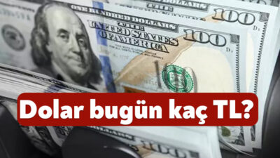 Küresel piyasalarda yaşanan gelişmeler ve TCMB’nin faiz politikasına yönelik attığı