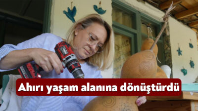 Kocaeli'de iş stresinden uzaklaşmak isteyen Asuman Aldemir, Bodrum'da gördüğü ışıklı