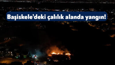 Kocaeli’nin Başiskele ilçesinde gece saatlerinde yerleşim yerlerine yakın noktada çıkan