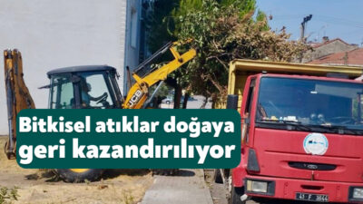 Körfez Belediyesi Park ve Bahçeler Müdürlüğü ekipleri, ilçe genelindeki ağaç