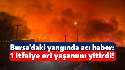 Bursa’nın Gürsü ve Kestel ilçelerinde başlayarak daha sonra köylere kadar