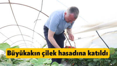 Kocaeli Büyükşehir Belediye Başkanı Doç.Dr.Tahir Büyükakın, Büyükşehir’in “Alternatif Ürün Yetiştiriciliğini