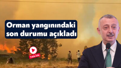 Kocaeli Büyükşehir Belediye Başkanı Tahir Büyükakın, kentte çıkan orman