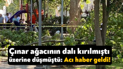 Kocaeli'nin Gölcük ilçesinde çınar ağacından kopan dalın üzerlerine düşmesi sonucu