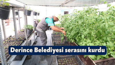 ‘Daha Yeşil Bir Derince’ hayalini gerçeğe dönüştürmek için kendi serasını