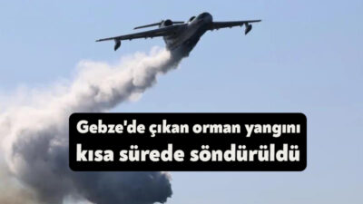 Kocaeli'nin Gebze ilçesinde ormanlık alanda çıkan yangın, ekiplerin saatler süren