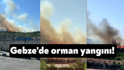 Kocaeli'nin Gebze ilçesinde ormanlık alanda yangın çıktı.