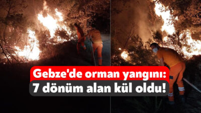 Kocaeli'nin Gebze ilçesinde gece saatlerinde çıkan orman yangınında 7 dönümlük