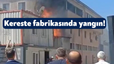 Kocaeli'nin Gebze ilçesinde kereste fabrikasında bir makinede çıkan yangın paniğe