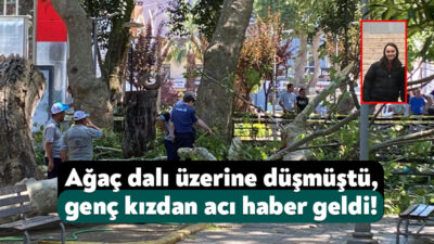 Kocaeli'nin Gölcük ilçesinde üzerine çınar ağacından dal düşmesi sonucu ağır