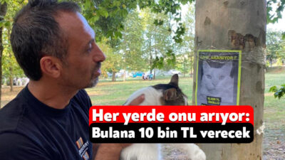 Kocaeli'de yaşayan Zülfi Satar, 3 yaşındaki sağır kedisi Pars'ın kaybolmasının