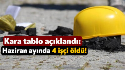 İşçi Sağlığı ve İş Güvenliği Meclisi, Türkiye’de haziran ayındaki işçi