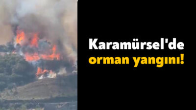 Kocaeli'nin Karamürsel ilçesinde ormanlık alanda yangın çıktı. Çok sayıda ekip