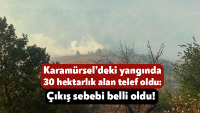 Karamürsel’de geçtiğimiz günlerde çıkan orman yangınına ilişkin Karamürsel Belediyesi açıklama