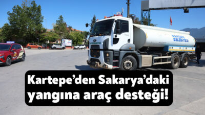 Sakarya'nın Geyve ve Pamukova ilçelerinde çıkan orman yangınına müdahale çalışmaları