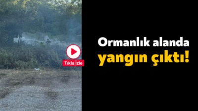Derince’deki ormanlık alanda dün meydana gelen orman yangının ardından bugün