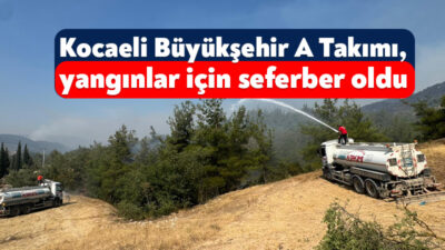 Büyükşehir Belediyesi’ne bağlı A Takımı, Sakarya ile Bilecik arasındaki orman