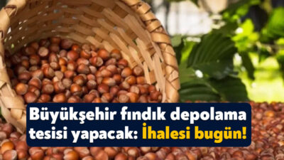 Kocaeli Büyükşehir Belediyesi, fındık üreticileri için harekete geçti. Fen İşleri