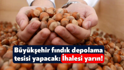 Kocaeli Büyükşehir Belediyesi, fındık üreticileri için harekete geçti. Fen İşleri