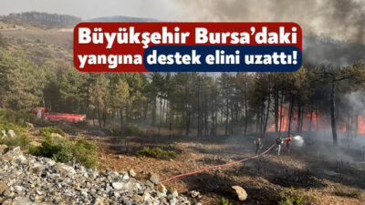 Kocaeli Büyükşehir Belediyesi ekipleri, Bursa’da yaşanan orman yangınına müdahale için