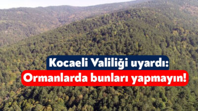 Eskişehir’de etkili olan ve 10 kişinin yaşamını yitirdiği orman yangınlara